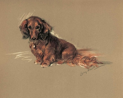 Picture of DASCHUND, ROBIN