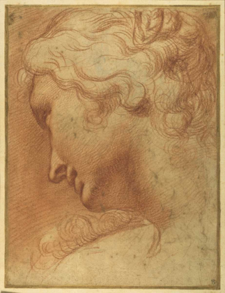 Picture of THE HEAD OF A YOUNG WOMAN 