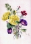 Picture of HOLLYHOCKS
