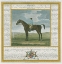 Picture of PORTRAIT AND PEDIGREE, SPORTLEY