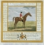 Picture of PORTRAIT AND PEDIGREE, BAJAZET