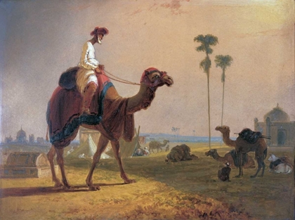 Picture of CAMEL AND RIDER
