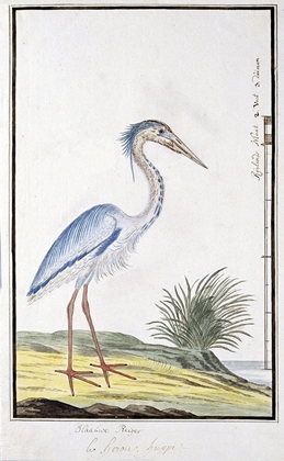 Picture of HERON