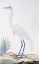 Picture of EGRET