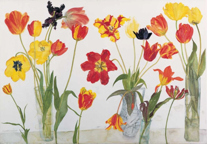 Picture of RED AND YELLOW TULIPS