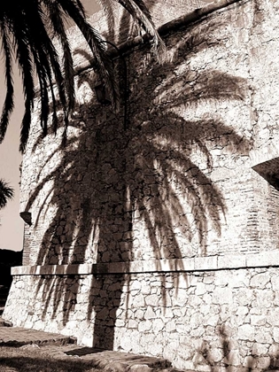 Picture of PALM SHADOW, ANTIBES