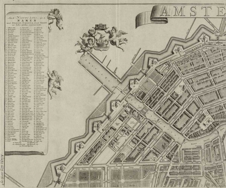 Picture of AMSTERDAM SECTIONAL MAP