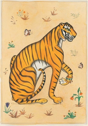 Picture of TIGER-INDIAN ANIMALS