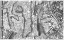 Picture of ROME SECTIONAL MAP