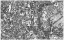 Picture of ROME SECTIONAL MAP