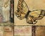 Picture of BUTTERFLY IN YELLOW