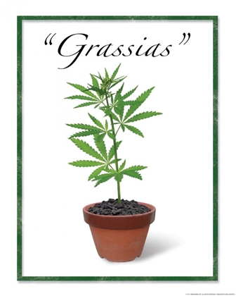 Picture of GRASSIAS