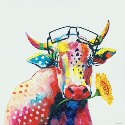 Picture of COW