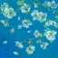 Picture of CHERRY BLOSSOM 2