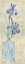 Picture of ASIAN FLORAL 1