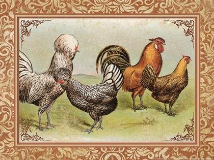 Picture of CHICKEN 3