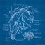 Picture of BLUEPRINTS 2