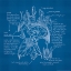 Picture of BLUEPRINTS 3