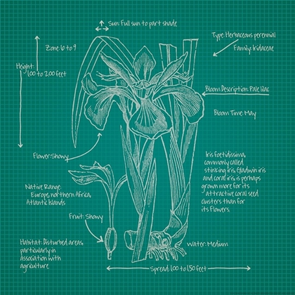 Picture of BLUEPRINTS 4