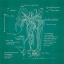 Picture of BLUEPRINTS 4