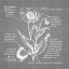 Picture of BLUEPRINTS 9
