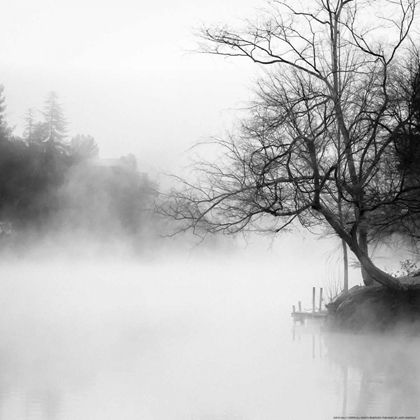 Picture of FOG ON THE LAKE 1