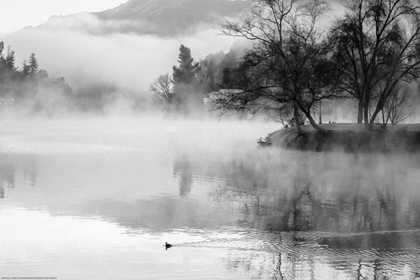 Picture of FOG ON THE LAKE 2