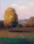 Picture of TREE IN THE SUN I
