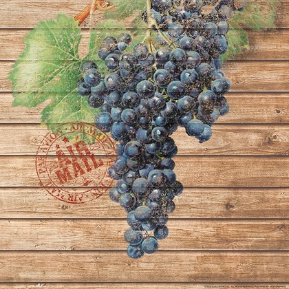 Picture of GRAPES A