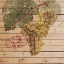 Picture of GRAPES B