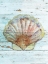 Picture of SEASHELL 1