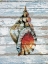 Picture of SEASHELL 2