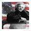 Picture of MY FAVORITE IN FLAG