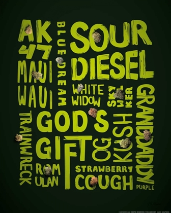 Picture of GREEN WORDS