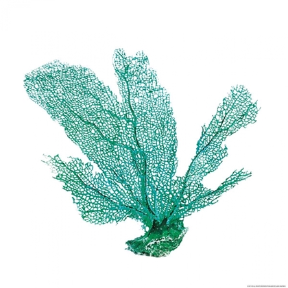 Picture of GREEN SEA FAN