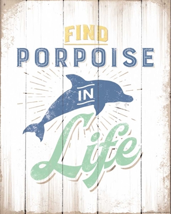 Picture of FIND PORPOISE