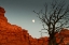 Picture of FULL MOON