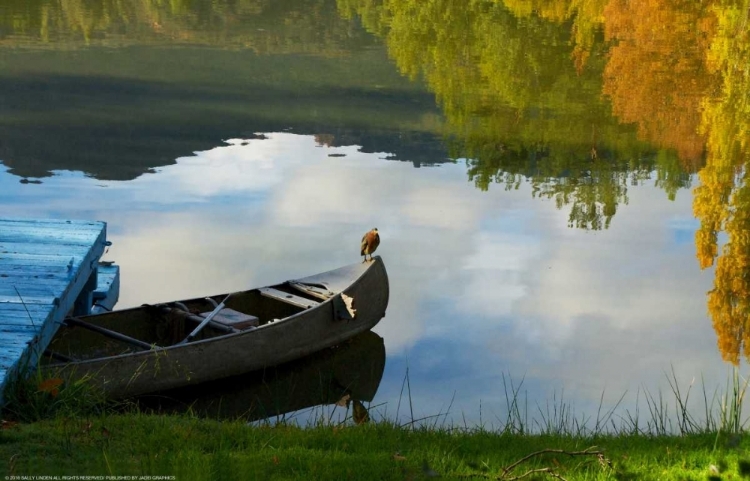 Picture of LAKE REFLECTION