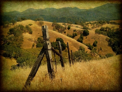 Picture of WEATHERED RANCH FENCE
