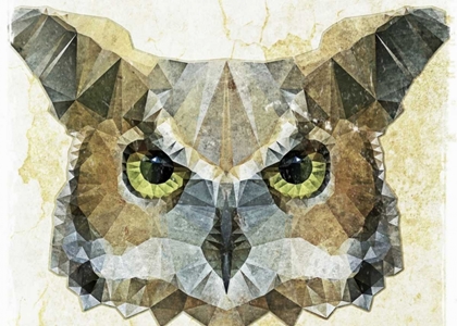 Picture of ABSTRACT OWL