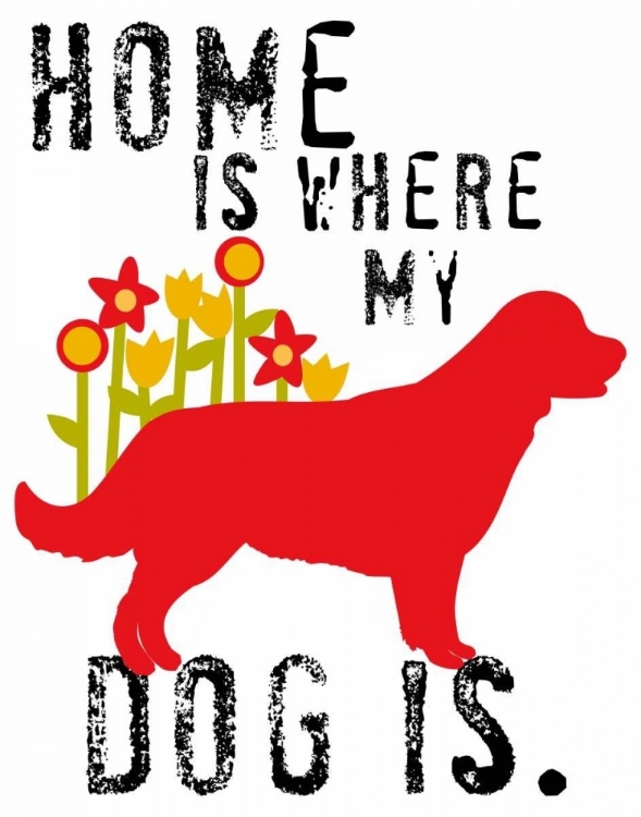 Picture of HOME IS WHERE MY DOG IS