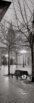 Picture of OVIEDO CATHEDRAL Y BANCS