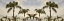 Picture of PALM BANNER - 1 - COLOR
