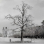 Picture of PARIS - 22