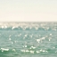 Picture of LA MER