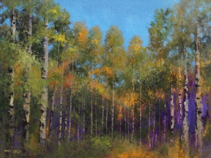 Picture of ASPEN AUTUMN