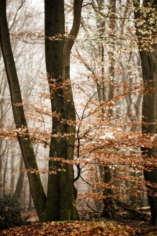 Picture of BRONZE TREE