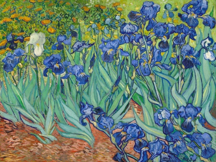 Picture of IRISES 1889