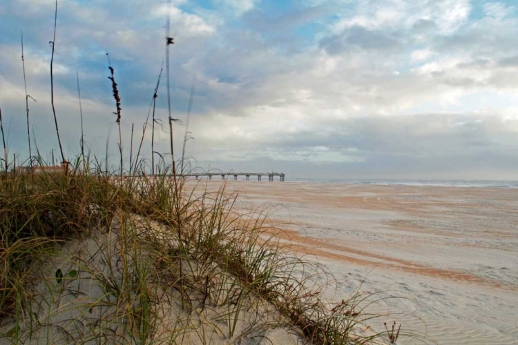 Picture of SAND DUNES I