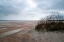 Picture of SAND DUNES II